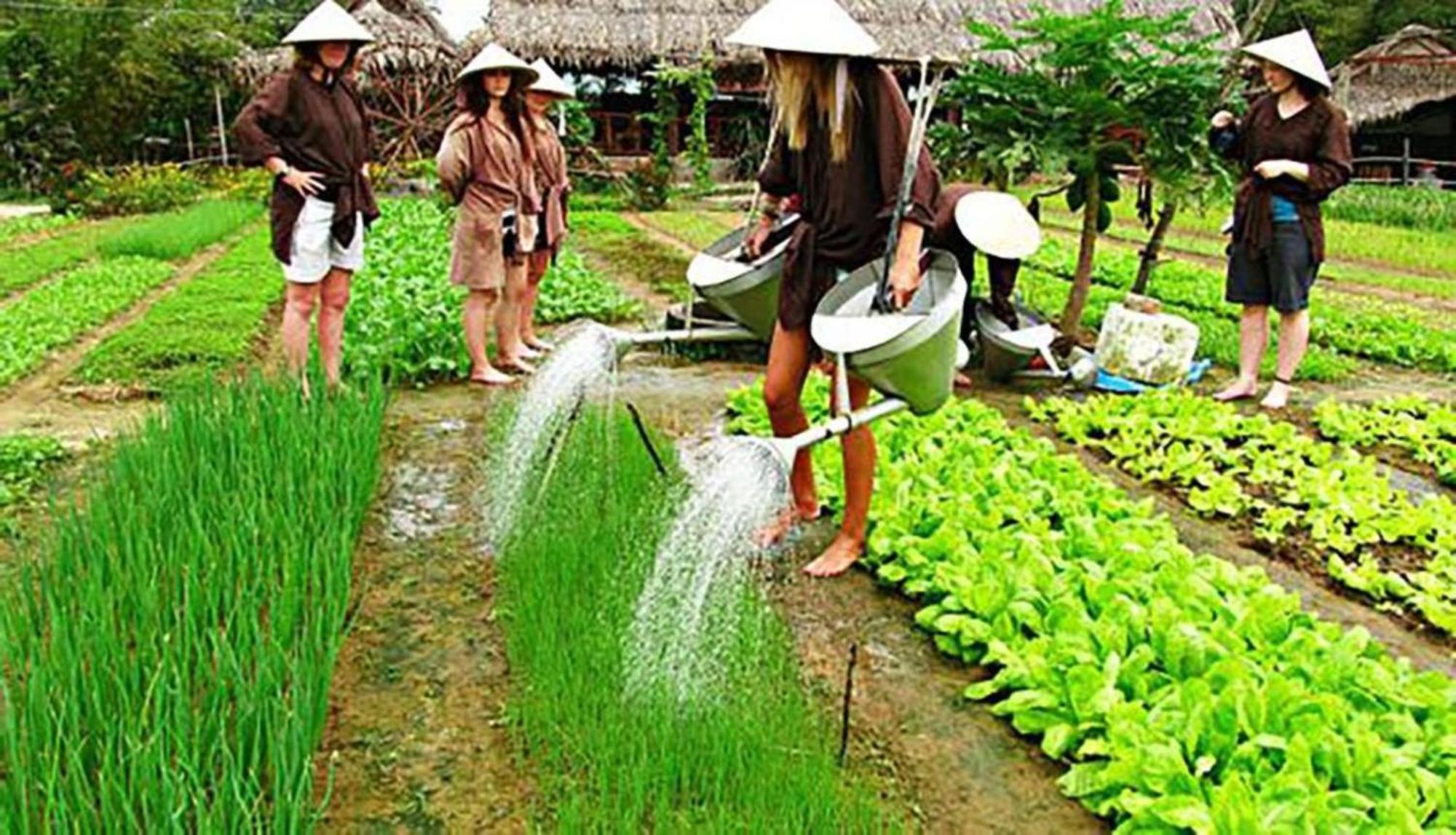 Qualia De Hotel Hoi An - Rooftop Bar City View ภายนอก รูปภาพ